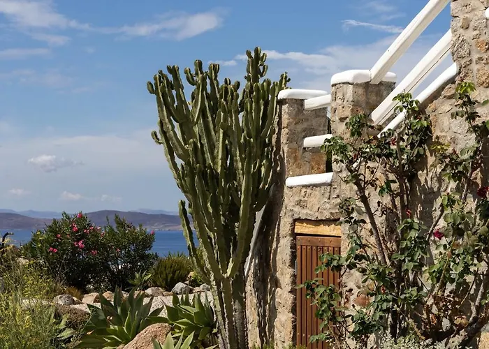 Alia Mykonos פסארו