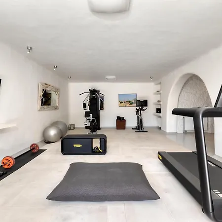 Alia Mykonos فيلة